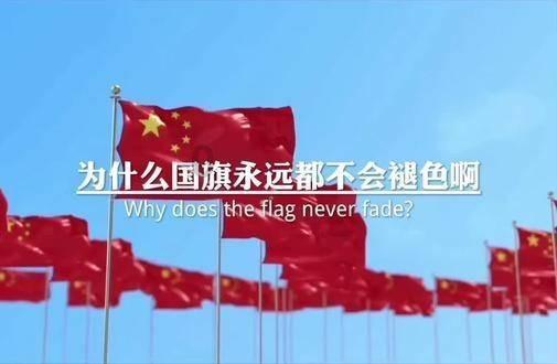 逃离变色龙森林
